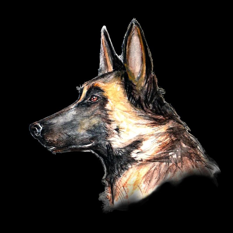 tête profil malinois