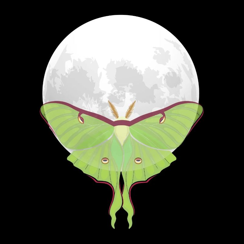 Actias luna - Papillon de nuit devant la Lune