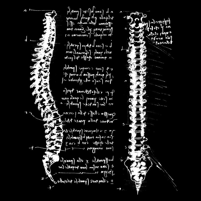Da Vinci spine White