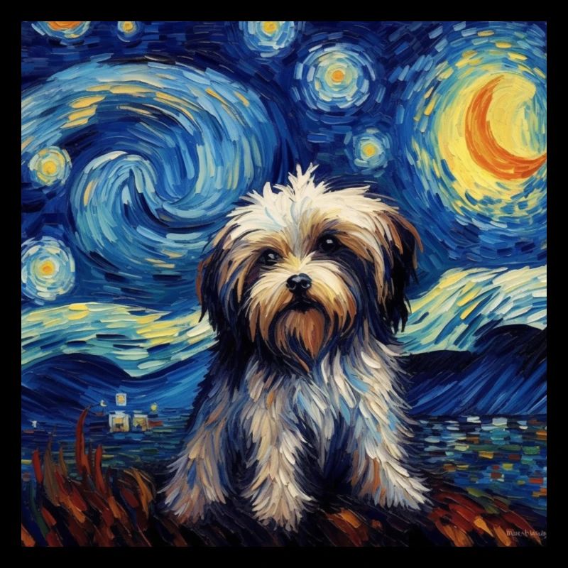 Nuit étoilée bichon havanais