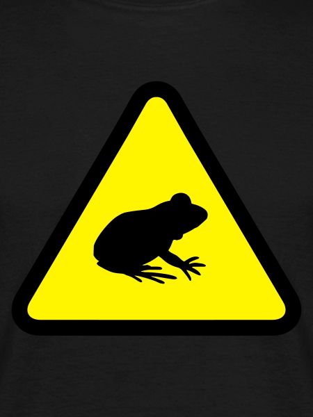 Attention Frog