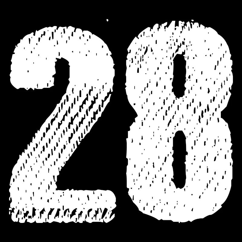 Maillot numéro 28
