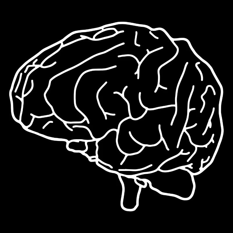 brain