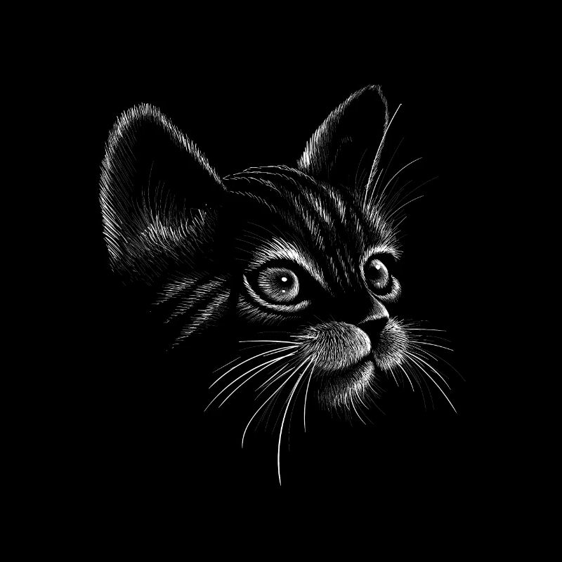 Chat dessiné à la main