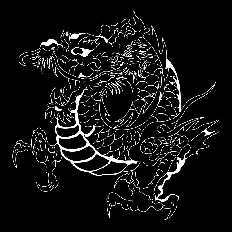 dragon29 noir