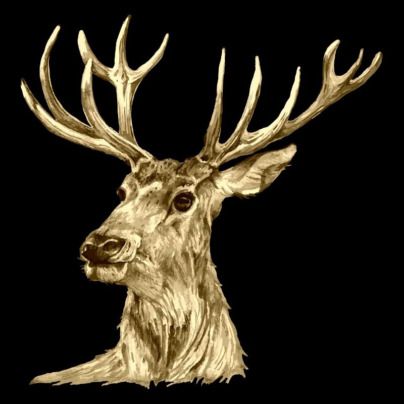Cerf