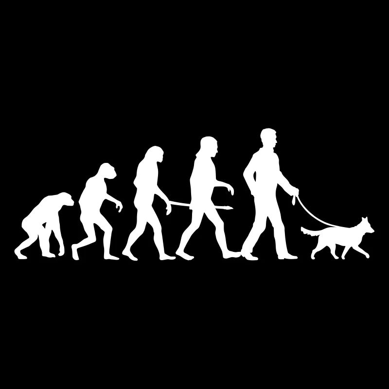 Evolution Medium Dog - Mens Edition
