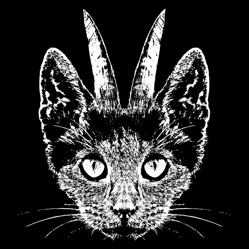 Chat avec des cornes