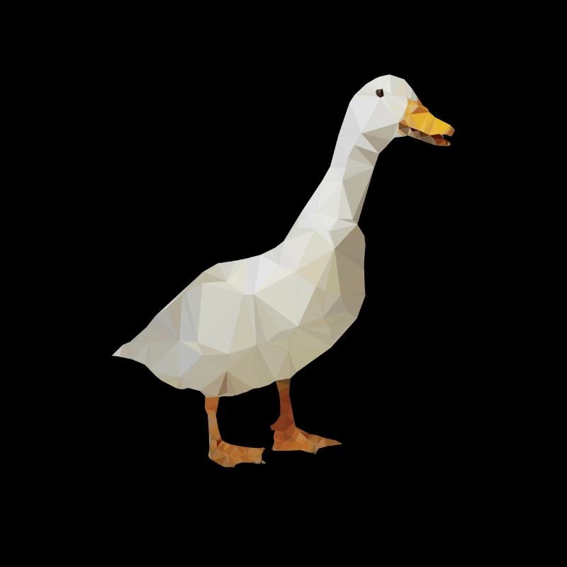 Goose - polygon / triangle