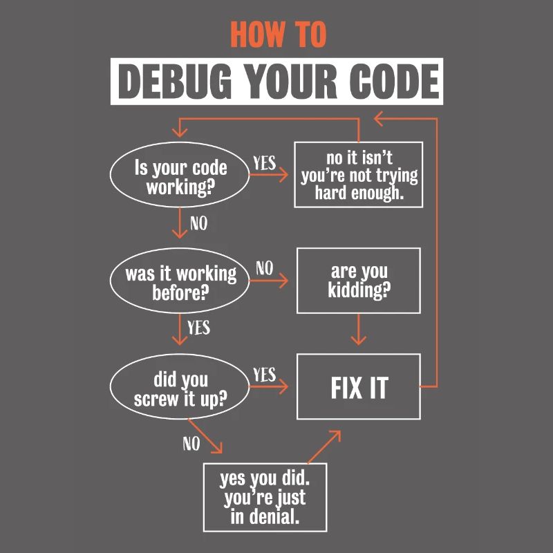 "Comment déboguer votre code" Funny Programmer Coding