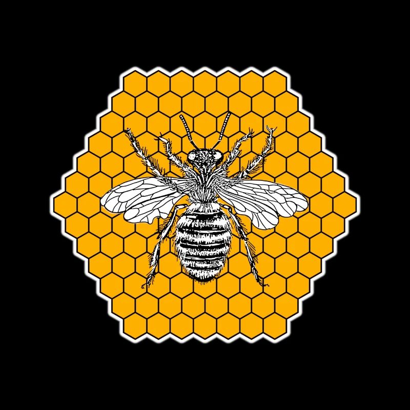 Bee honeycomb insect