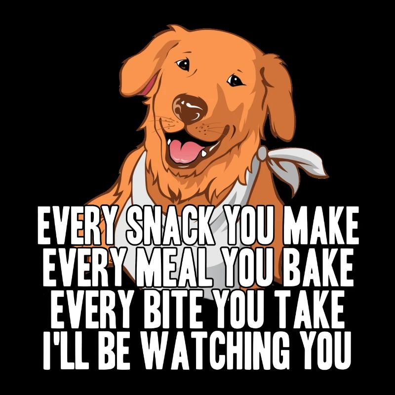 Labrador