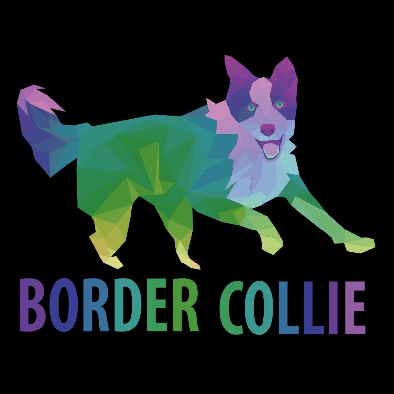 Cadeau Border Collie