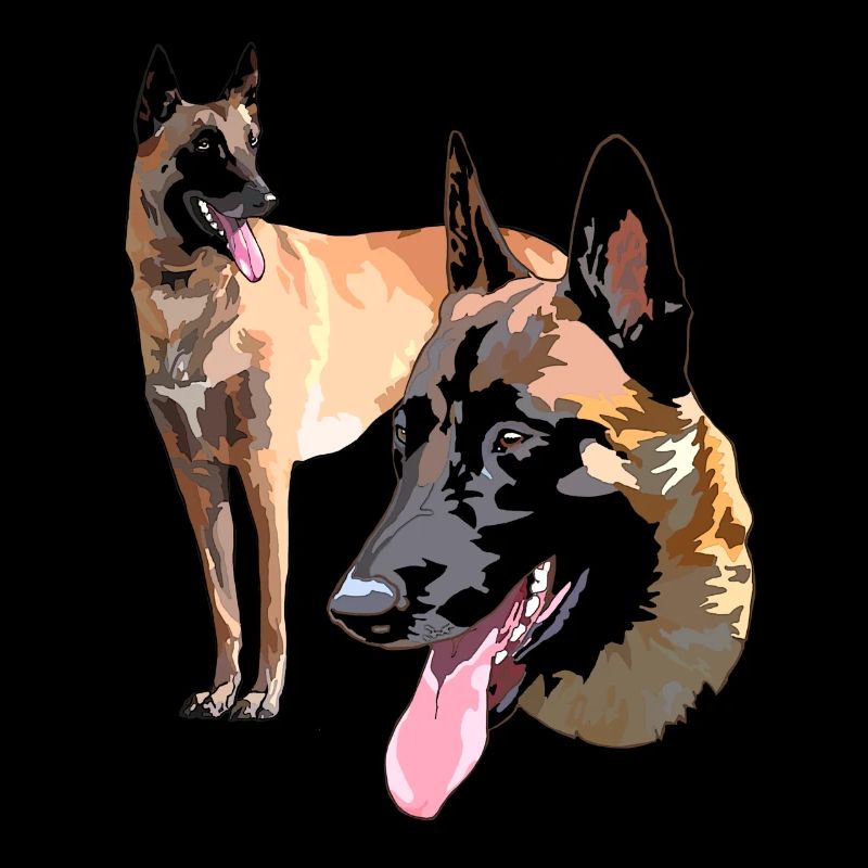 die 2 malinois