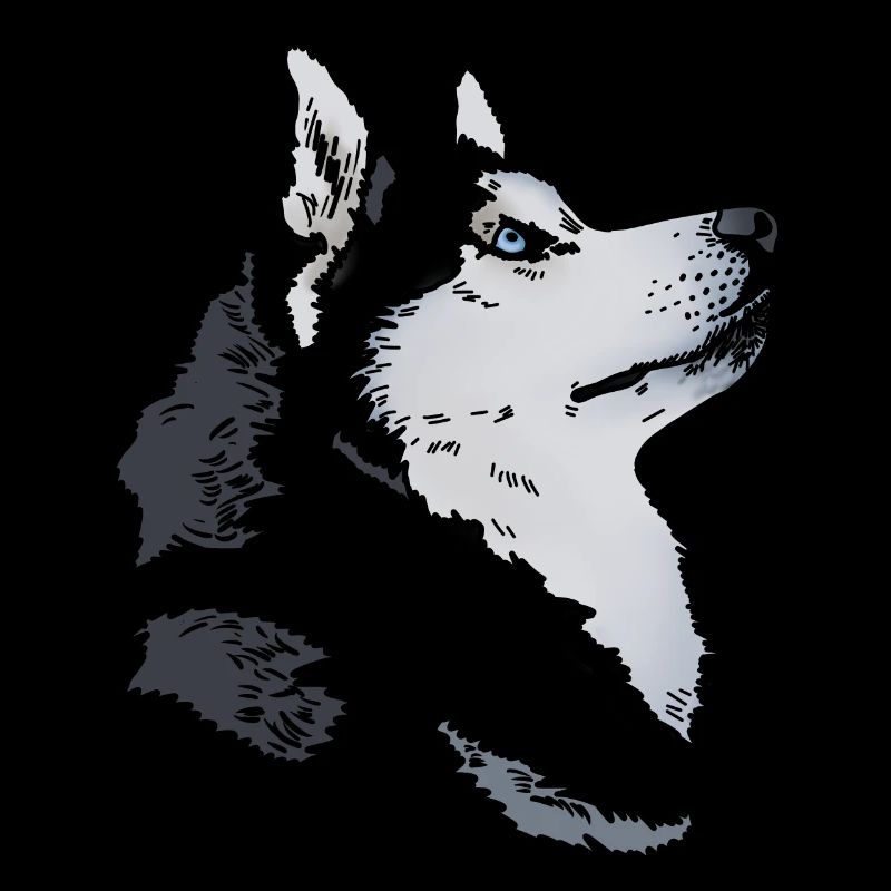 Tête de husky