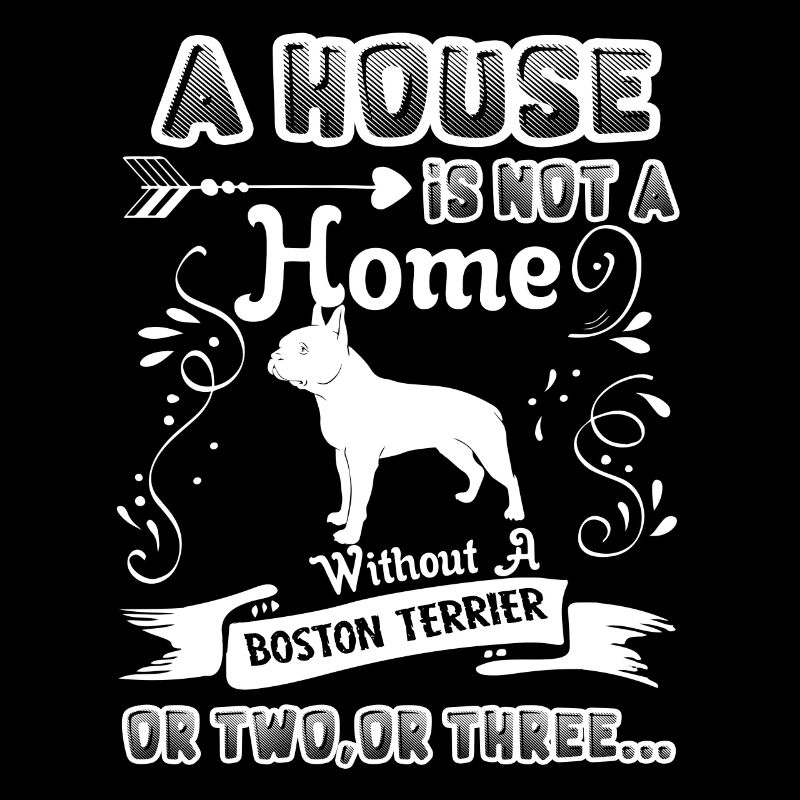 Boston Terrier Home Without Boston Terrier