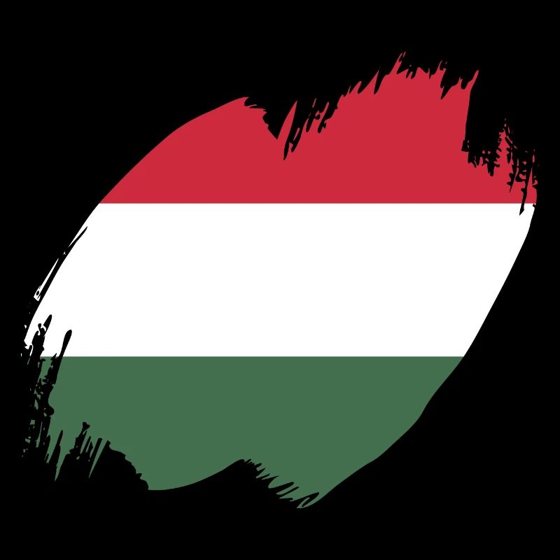 Hongrie Drapeau Hongrois Drapeau Balaton Hongrie