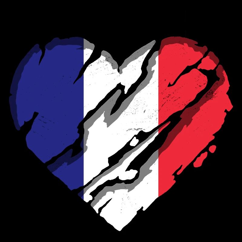 France Drapeau utilisé Look Drapeau français