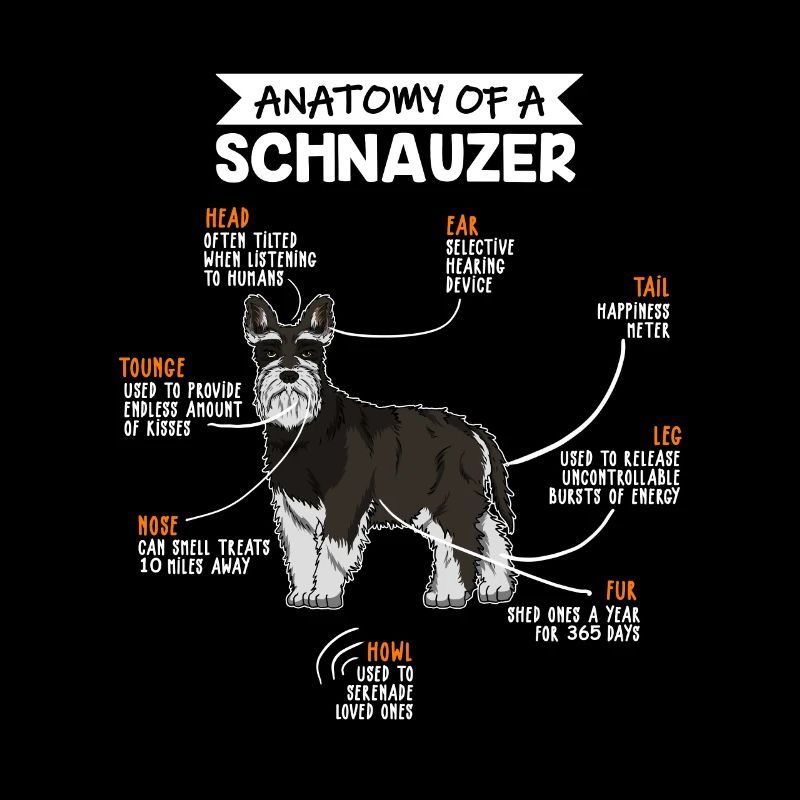 Schnauzer chien d’anatomie cadeau