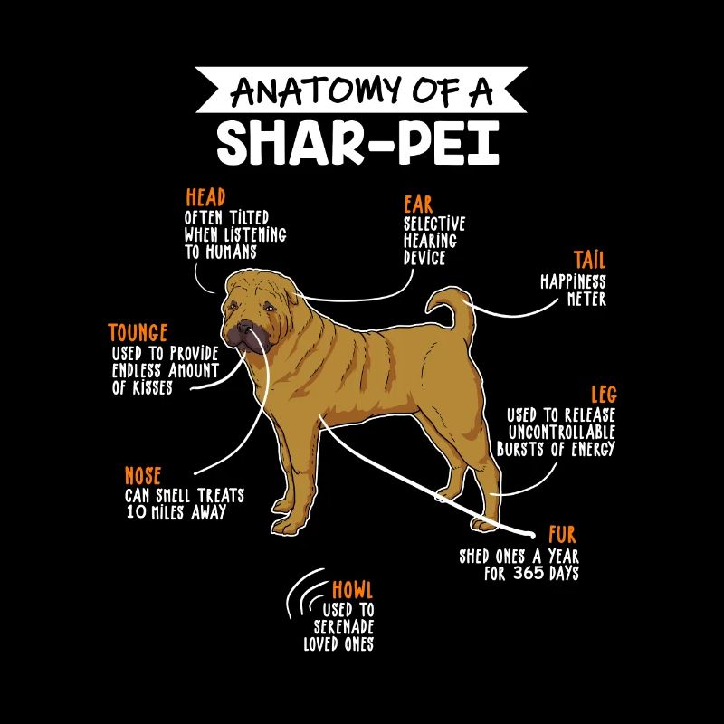 Shar Pei anatomie cadeau chiens