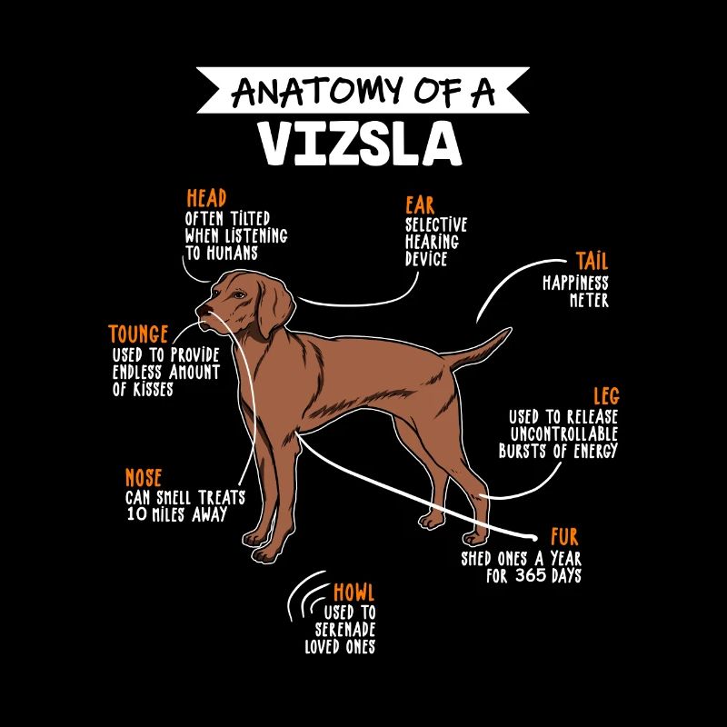 Vizsla Anatomie Hunde Geschenk