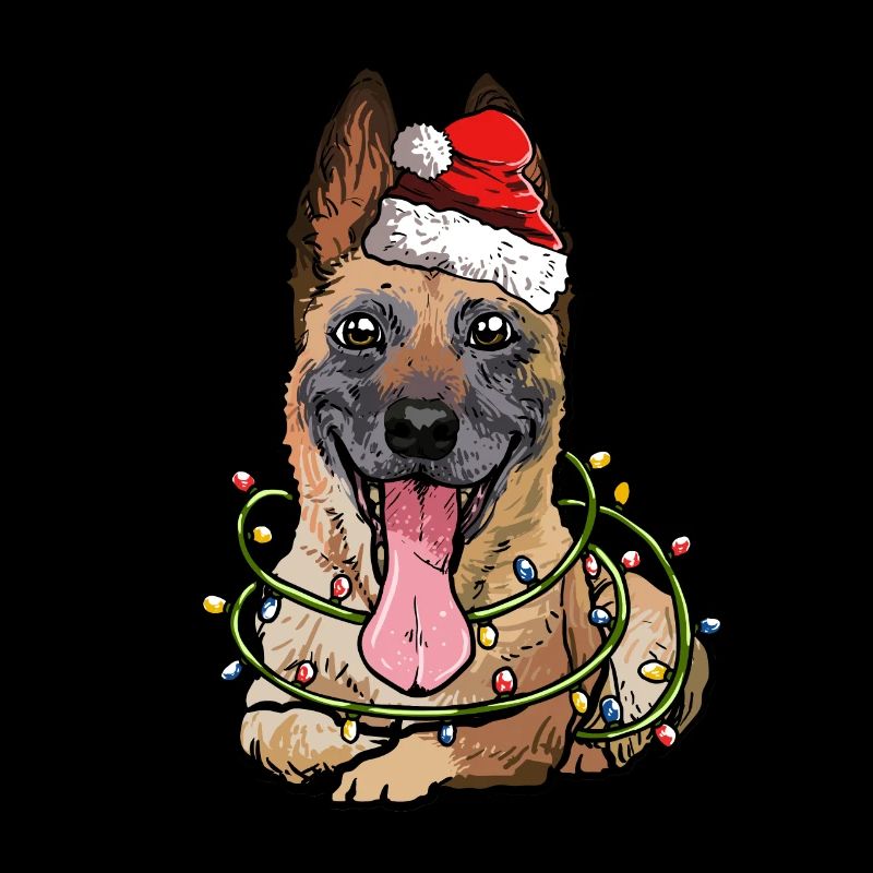 Malinois Cadeau de Noël pour chiens