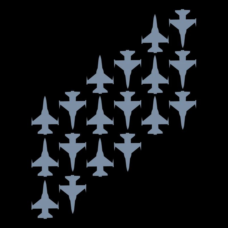avion de combat