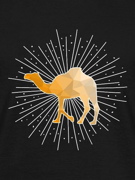 Camel dromedary