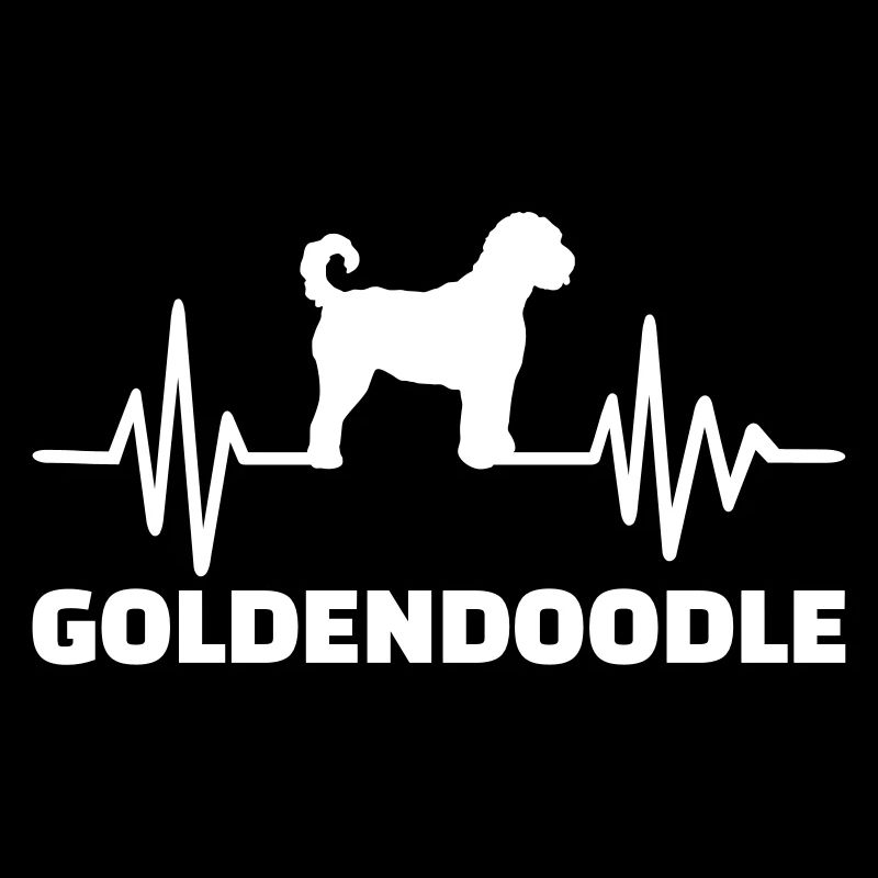 Goldendoodle