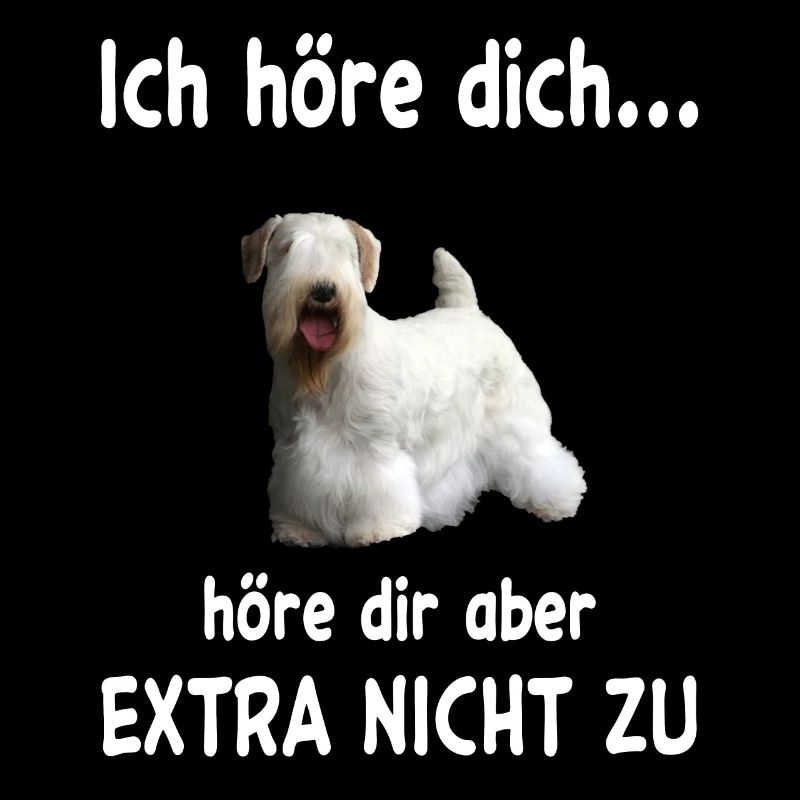 Sealyham Terrier Hund - Sealyham Terrier