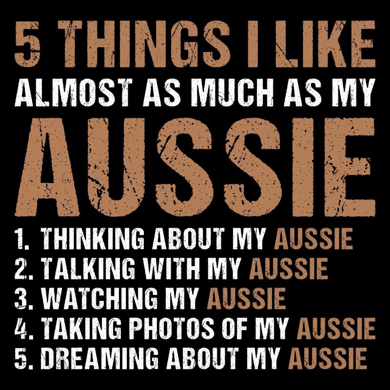Dog 5 Things I Like Almost As Much As My Aussie