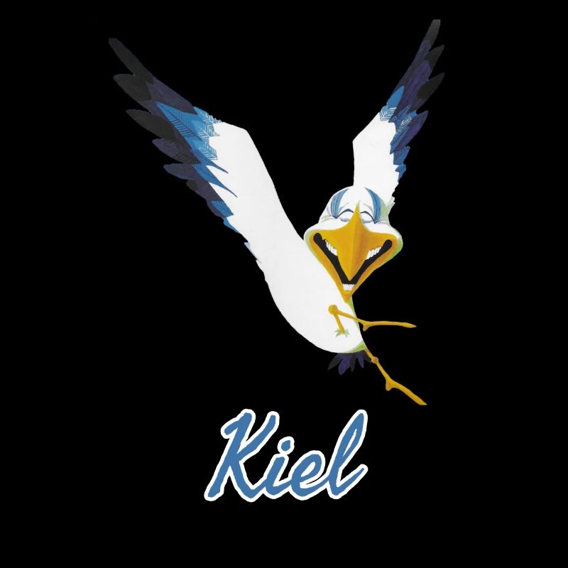 Lachmöwe aus Kiel