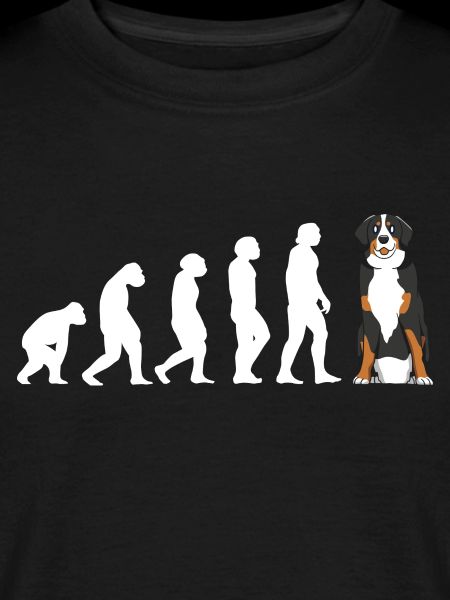 Evolution Bouvier Bernois