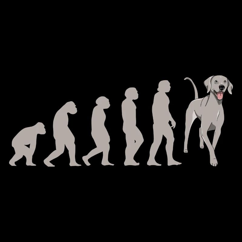 Evolution Weimaraner