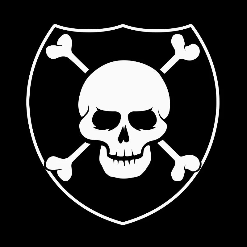 Pirate crâne raiders