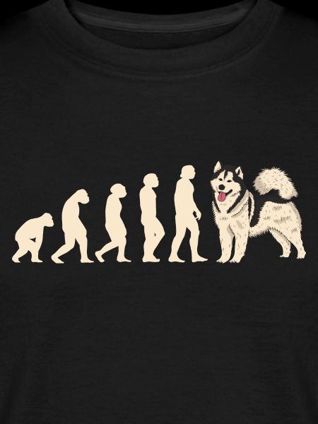 Evolution Alaskan Malamute