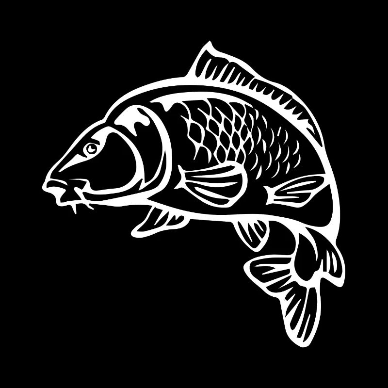 A big catch - carp