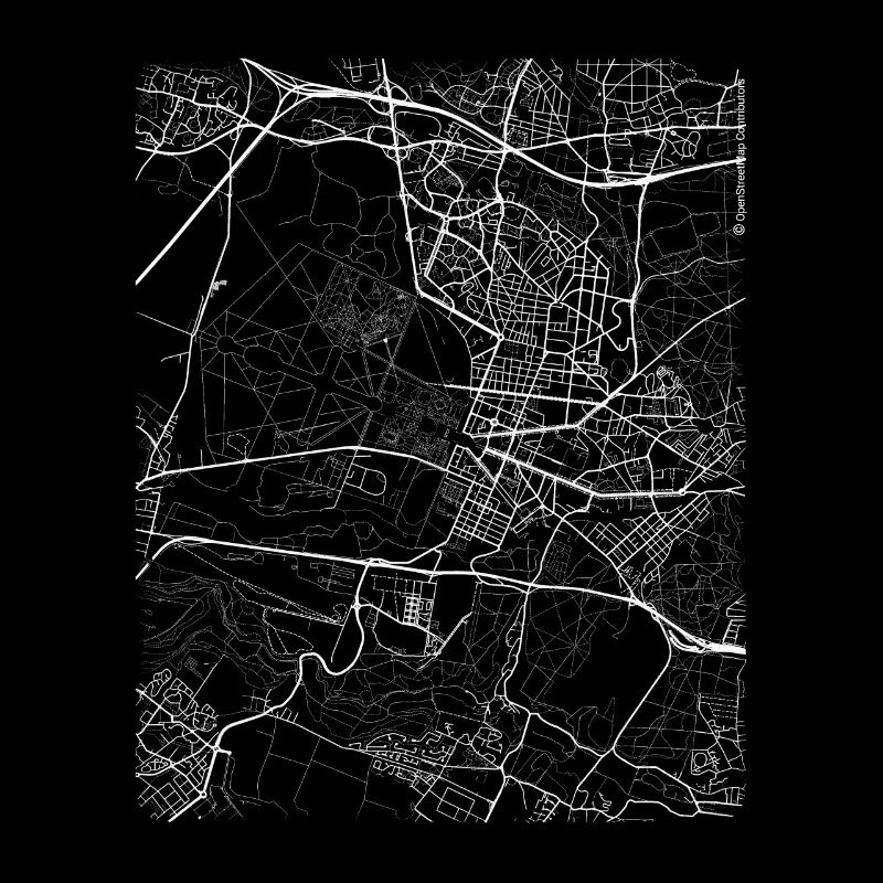 Minimal Versailles city map and streets
