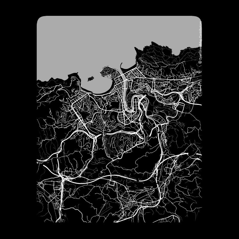 Plan et rues de Donostia