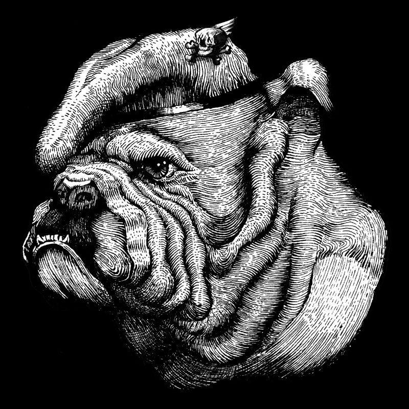 Bouledogue anglais