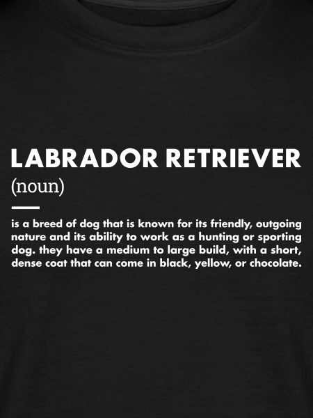 Labrador Retriever Definition