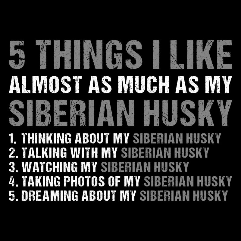 5 choses que j’aime autant que mon Husky sibérien