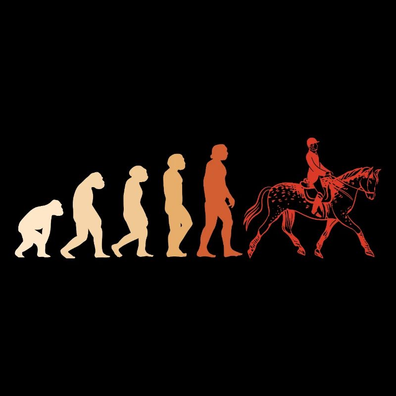 Jumper Evolution Saut d’obstacles