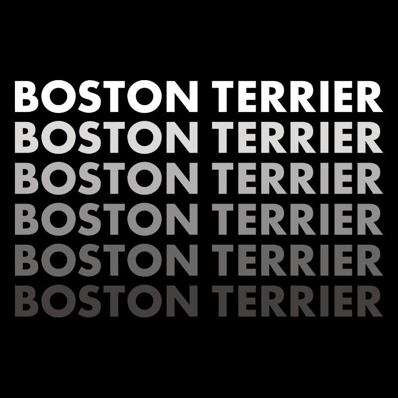 Boston Terrier