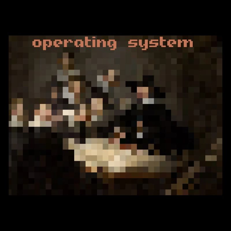 Operating System