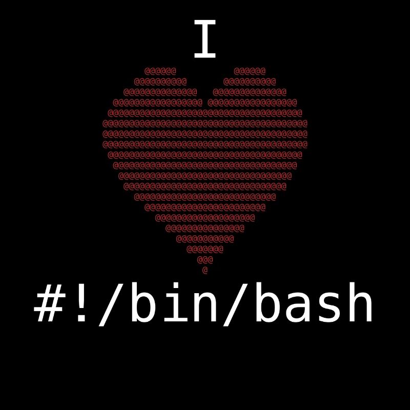 I Love Bash Administrator Developer Gift