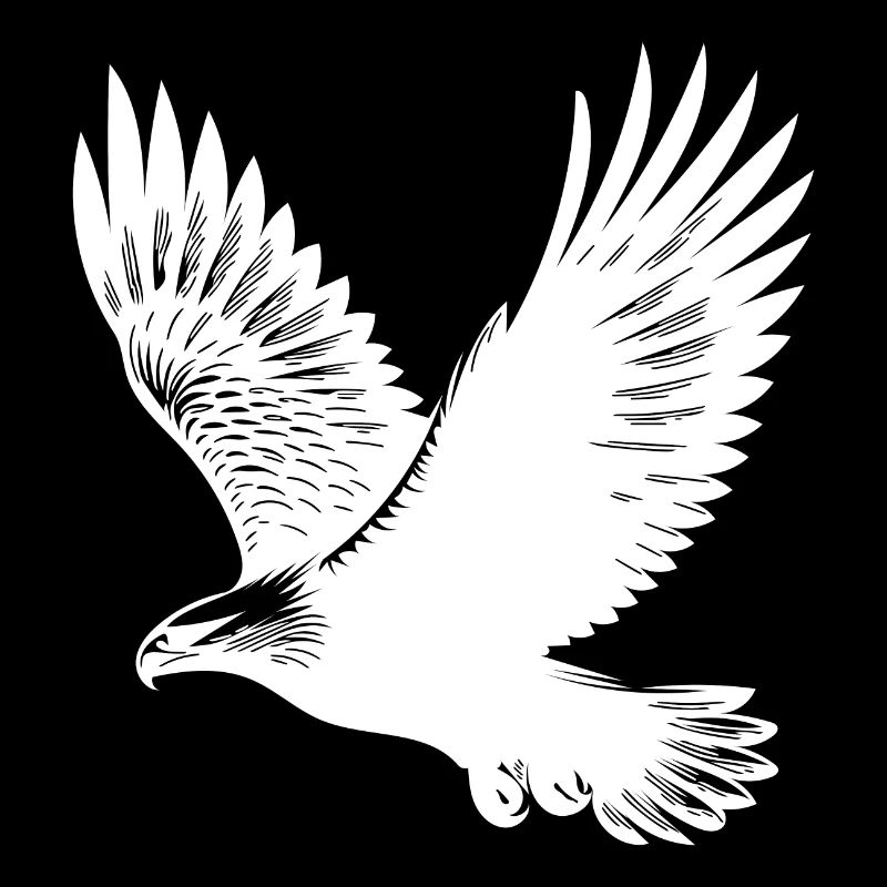 Aigle élégant sur d’immenses ailes