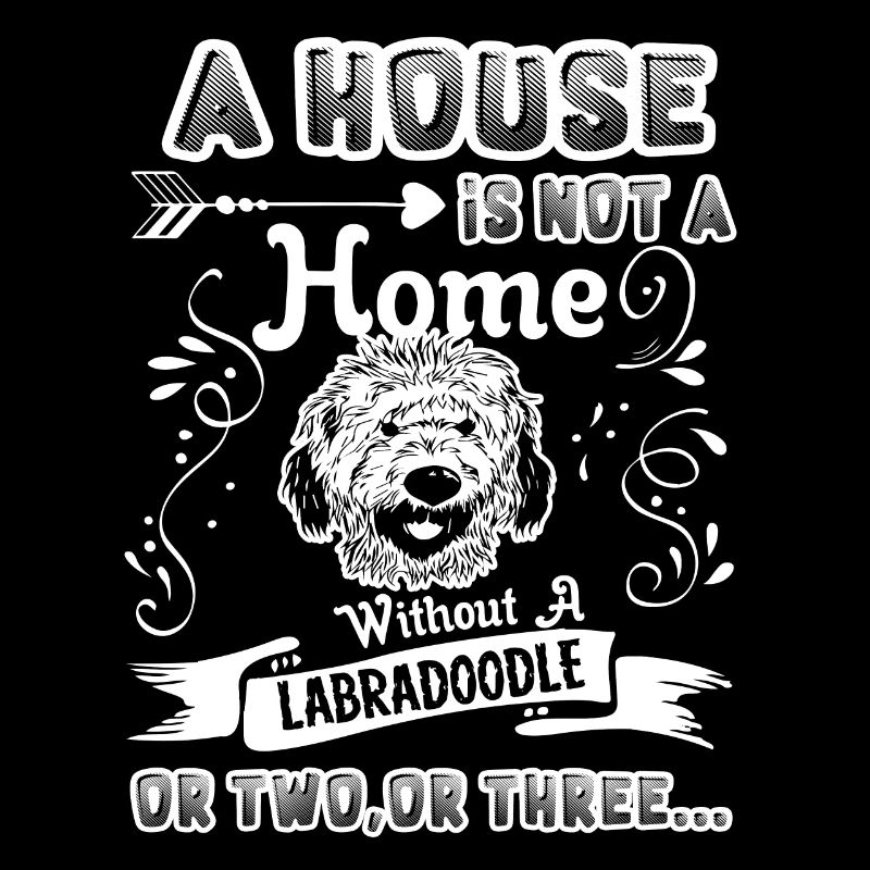 Labradoodle Home Without Labradoodle