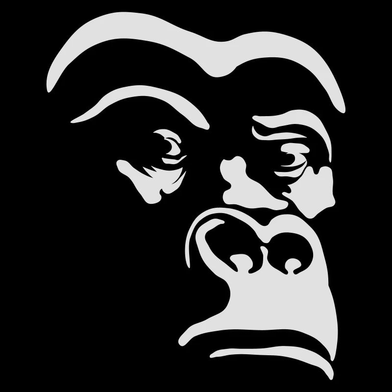 go go gorilla!