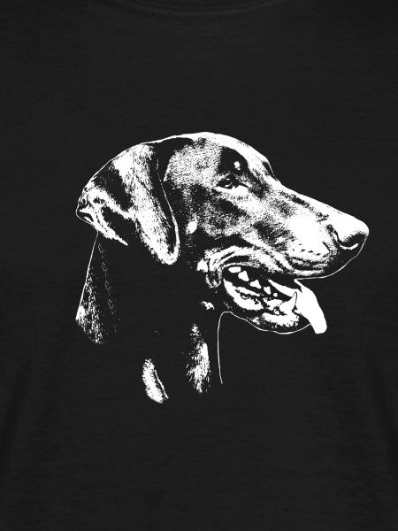 Dobermann Kopf